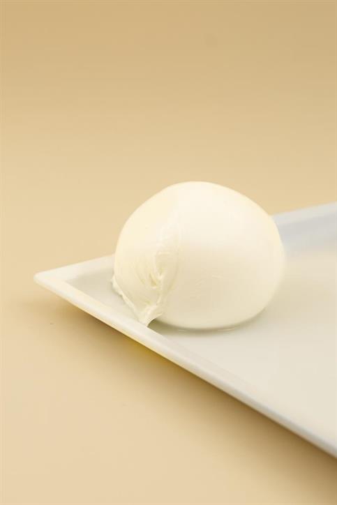 MOZZARELLA 250G (CONF 500)